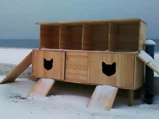 В Одессе появился домик с кормушками для бездомных котов